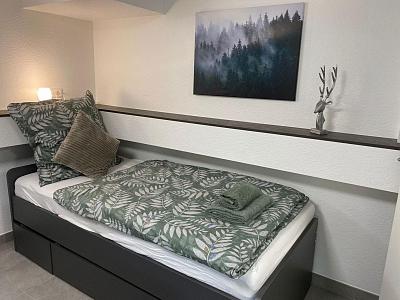 City Apartment Black Forest
